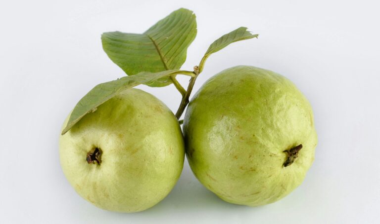 Health benefits of Guava