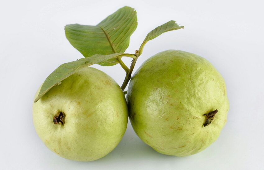 Health benefits of Guava