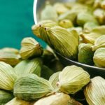 Cardamom