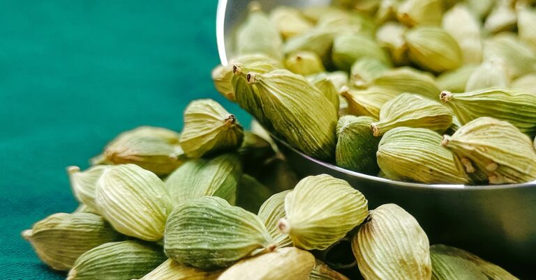 Cardamom